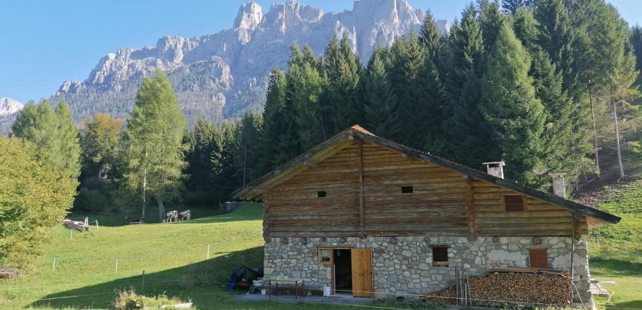 Baita Pra Petina Pale Di San Martino Siror Exterior foto