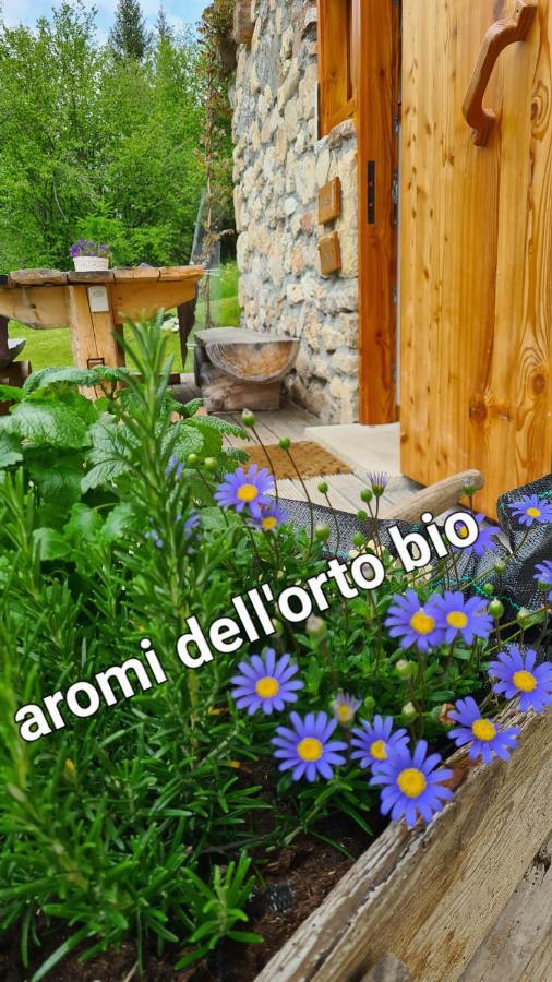 Baita Pra Petina Pale Di San Martino Siror Exterior foto